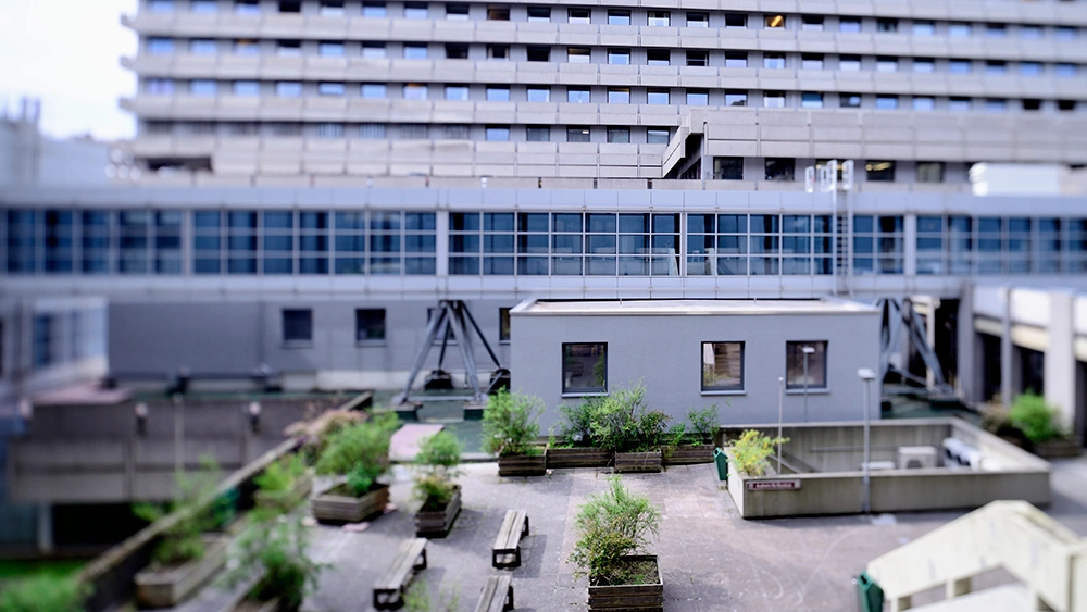 Kleines Modulgebäude im begrünten Innenhof eines großen Klinik- oder Universitätskomplexes
