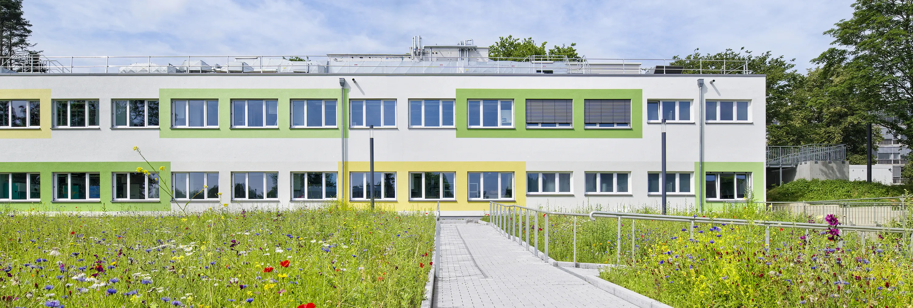 Modernes Klinikgebäude mit grünen Fensterrahmen, Dachtechnik und blühender Wildblumenwiese