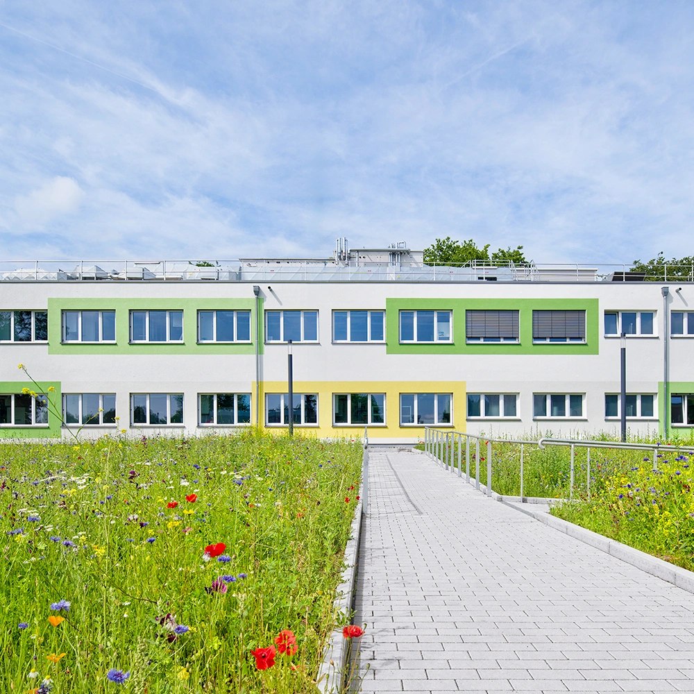 Zweigeschossiges Gebäude mit grünen Fensterrahmen, Wildblumenwiese und gepflastertem Weg