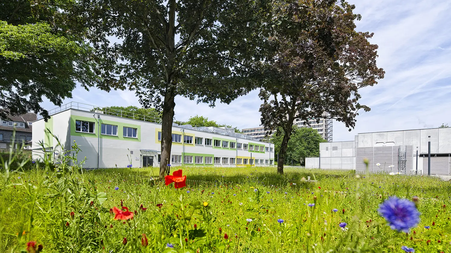 Zweigeschossiges Modulgebäude mit heller Fassade, grünen Fensterrahmen und Blumenwiese im Vordergrund